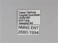 苧麻細蝶藏品圖，第3張