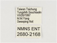 小紫斑蝶藏品圖，第3張