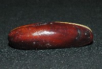 黑石蜊藏品圖，第3張