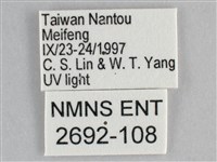 雙峰霜尺蛾藏品圖，第3張
