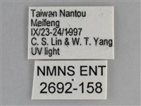 大胡麻斑星尺蛾藏品圖，第3張