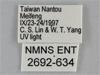 雙峰霜尺蛾藏品圖，第3張