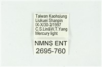 白斑散紋夜蛾藏品圖，第3張