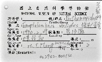 強壯菱蟹藏品圖，第12張