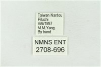 連珠波紋蛾藏品圖，第3張