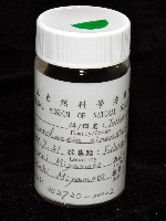 陸生端腳類藏品圖，第3張