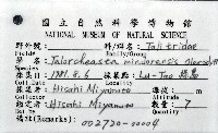 陸生端腳類藏品圖，第4張