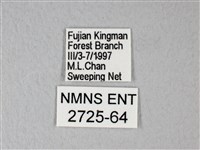 白粉蝶、紋白蝶藏品圖，第3張