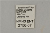 藍灰蝶沖繩亞種藏品圖，第3張