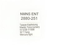 臺灣鍬形金龜藏品圖，第2張