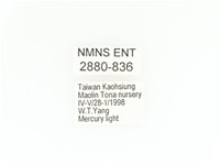 臺灣鍬形金龜藏品圖，第2張