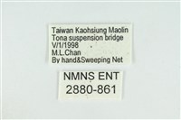 東方喙蝶藏品圖，第3張