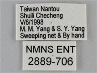 纖粉蝶、黑點粉蝶藏品圖，第3張