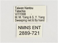 小紫斑蝶藏品圖，第3張