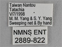 異色尖粉蝶藏品圖，第3張