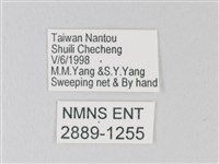 靛色琉灰蝶藏品圖，第3張