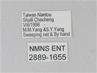 靛色琉灰蝶藏品圖，第3張