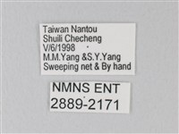 靛色琉灰蝶藏品圖，第3張