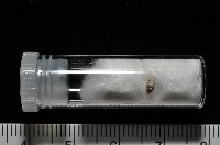 趙氏芝麻蝸藏品圖，第5張