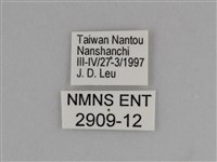 臺灣絹蛺蝶藏品圖，第3張