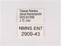 嫵琉灰蝶藏品圖，第3張