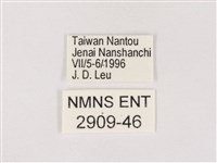 嫵琉灰蝶藏品圖，第3張