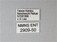 異粉蝶、雌白黃蝶藏品圖，第3張