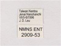 嫵琉灰蝶藏品圖，第3張