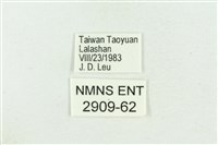 高砂燕灰蝶藏品圖，第3張