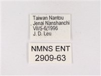 嫵琉灰蝶藏品圖，第3張