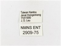 玉山幽眼蝶藏品圖，第3張
