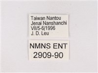 嫵琉灰蝶藏品圖，第3張