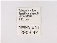 嫵琉灰蝶藏品圖，第3張