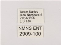 嫵琉灰蝶藏品圖，第3張