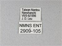 異粉蝶、雌白黃蝶藏品圖，第3張