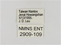 碎紋孔弄蝶藏品圖，第3張