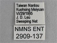 散紋盛蛺蝶藏品圖，第3張