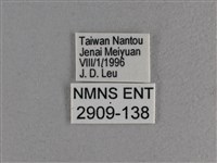 玉帶弄蝶藏品圖，第3張
