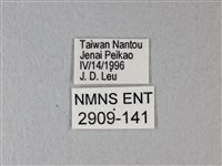 異粉蝶、雌白黃蝶藏品圖，第3張