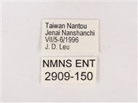 嫵琉灰蝶藏品圖，第3張