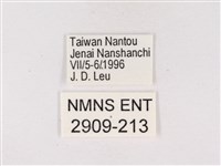 嫵琉灰蝶藏品圖，第3張