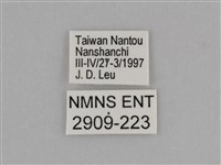 臺灣絹蛺蝶藏品圖，第3張