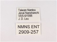 嫵琉灰蝶藏品圖，第3張