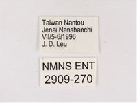 嫵琉灰蝶藏品圖，第3張