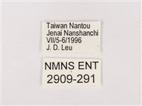 嫵琉灰蝶藏品圖，第3張
