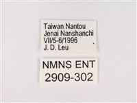 嫵琉灰蝶藏品圖，第3張