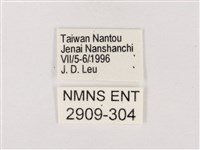 嫵琉灰蝶藏品圖，第3張