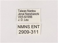 嫵琉灰蝶藏品圖，第3張