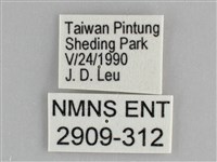 遷粉蝶、淡黃蝶藏品圖，第3張