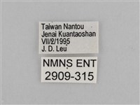 切翅眉眼蝶藏品圖，第3張